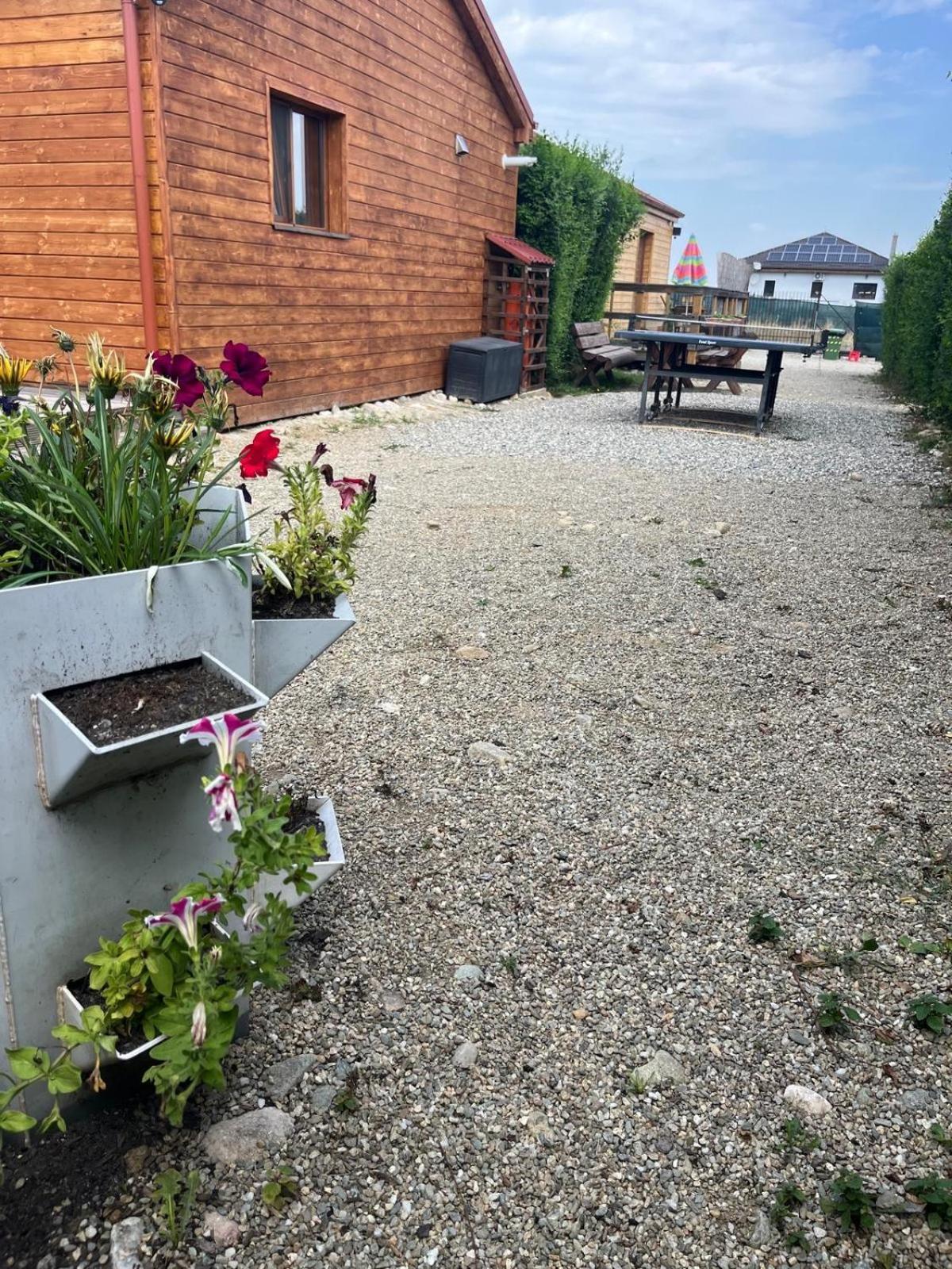 Casute La Munte Villa Rîşnov Luaran gambar